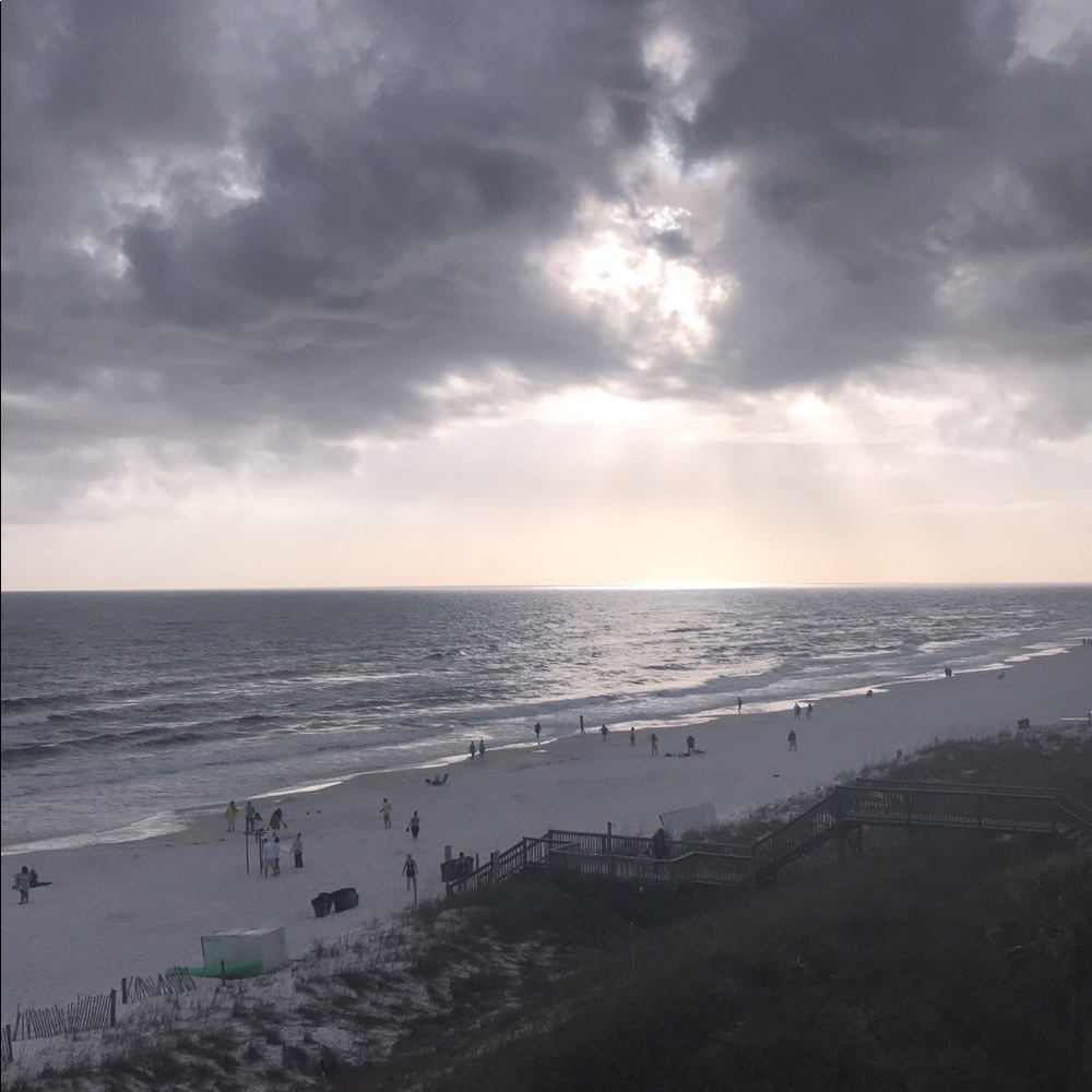 Meet your Posher, Shelby